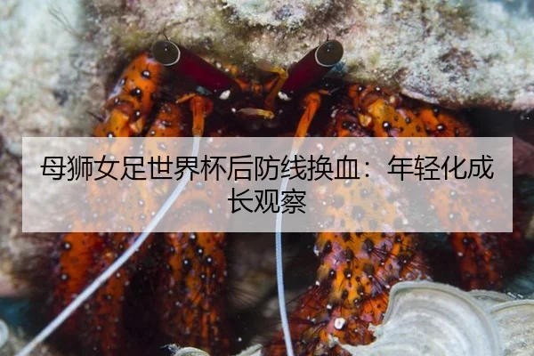 母狮女足世界杯后防线换血：年轻化成长观察