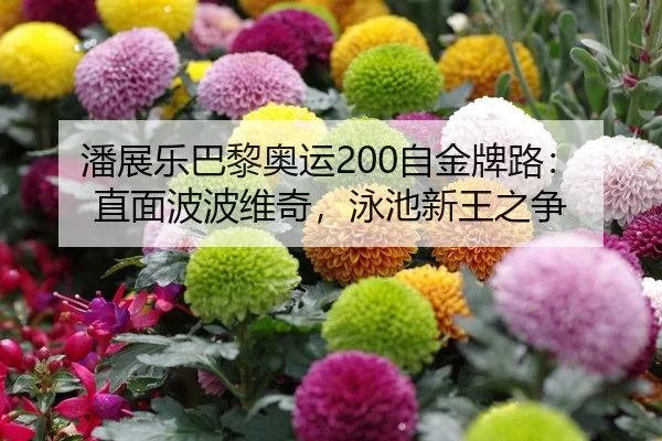 潘展乐巴黎奥运200自金牌路：直面波波维奇，泳池新王之争