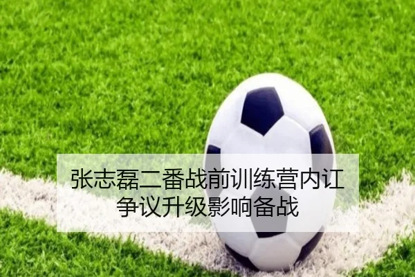 张志磊二番战前训练营内讧 争议升级影响备战