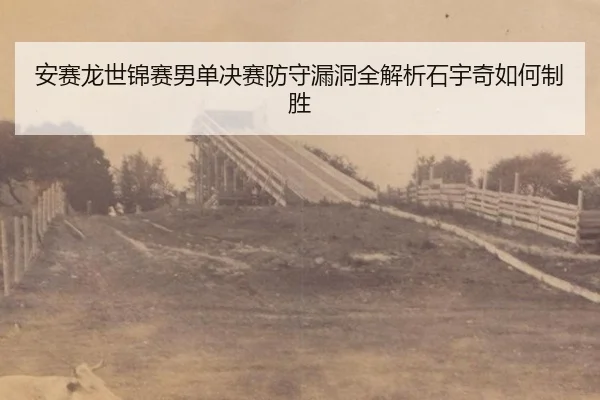 an-sai-long-shi-jin-sai-nan-dan-jue-sai-fang-shou-lou-dong-quan-jie-xi-shi-yu-qi-ru-he-zhi-sheng-2-670.jpg