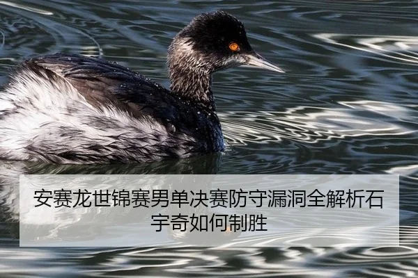 安赛龙世锦赛男单决赛防守漏洞全解析石宇奇如何制胜