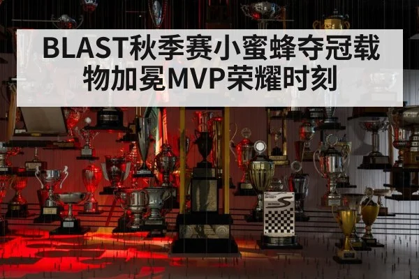 BLAST秋季赛小蜜蜂夺冠载物加冕MVP荣耀时刻